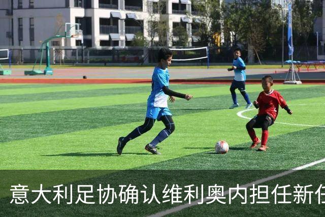 意大利足协确认维利奥内担任新任秘书长